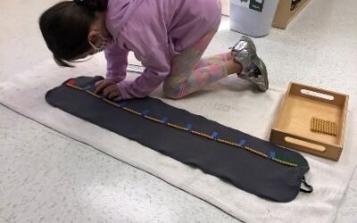 Back into the swing of things