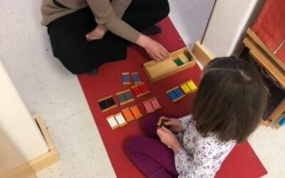 Intrinsically motivated