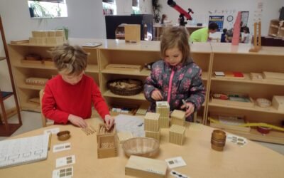 Freedom within Boundaries