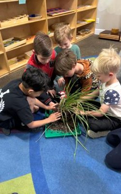 The Adventure of Life!