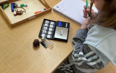 New Session, New Quests, New Question