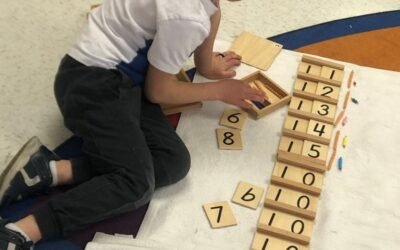 Just along for the ride!